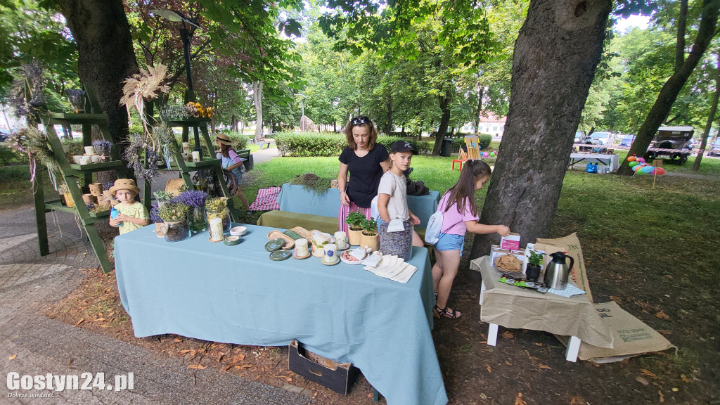Kulturalny Piknik w gostyńskich plantach
