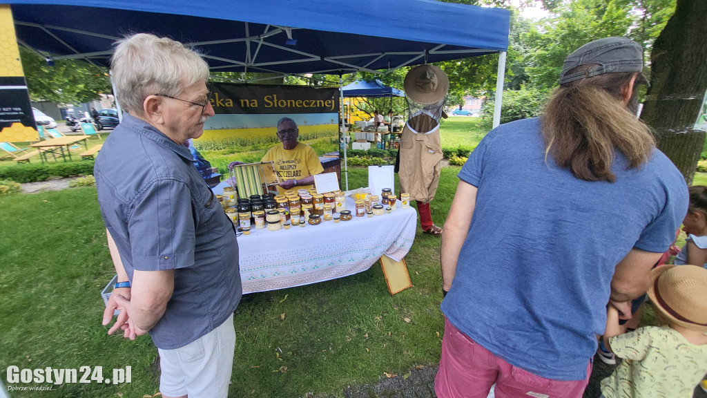 Kulturalny Piknik w gostyńskich plantach