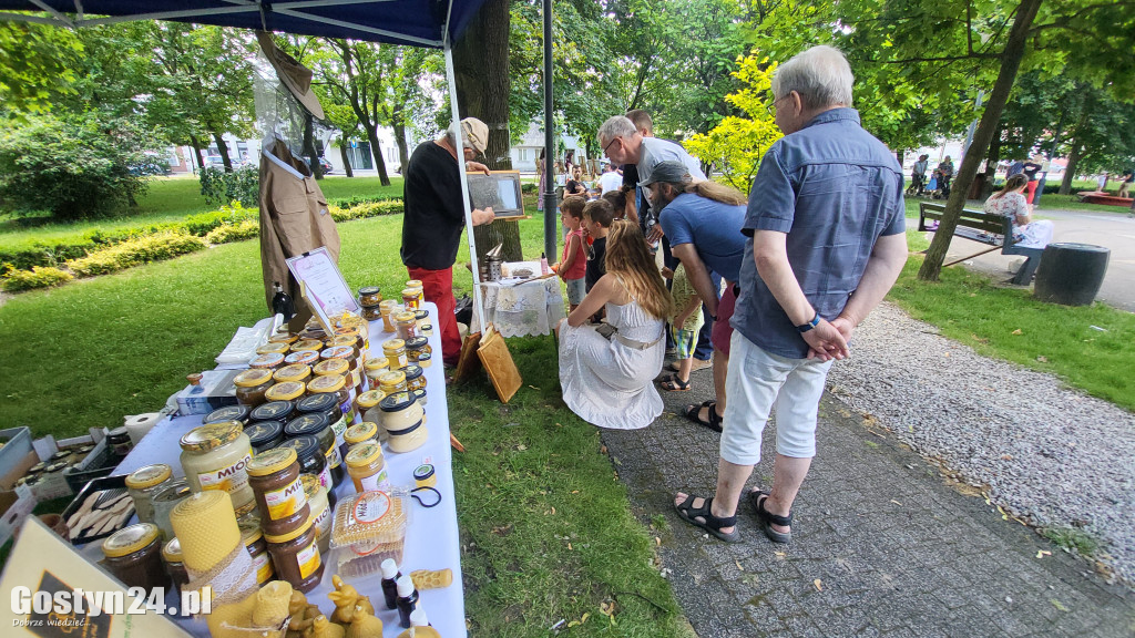 Kulturalny Piknik w gostyńskich plantach