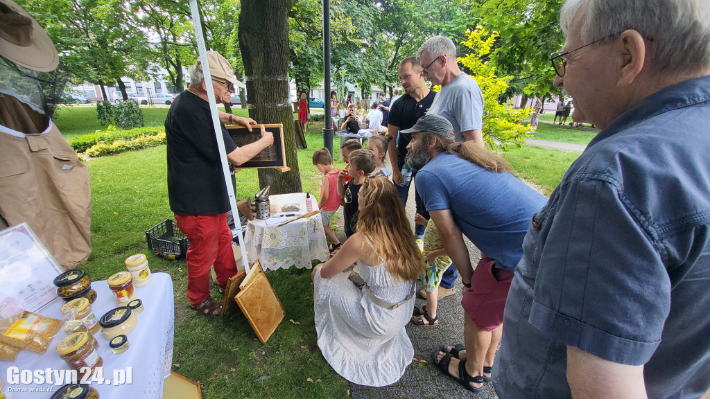 Kulturalny Piknik w gostyńskich plantach