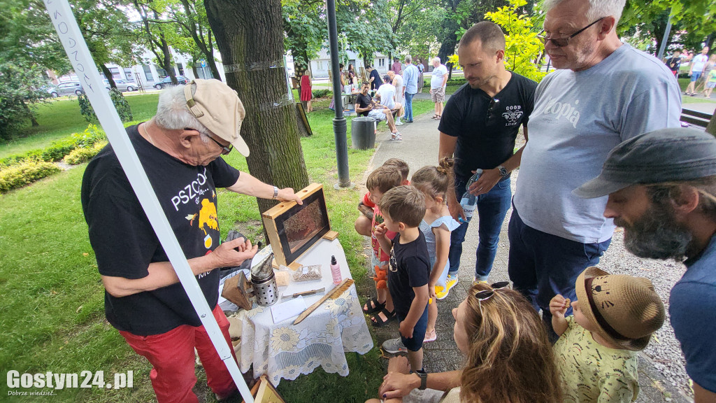 Kulturalny Piknik w gostyńskich plantach