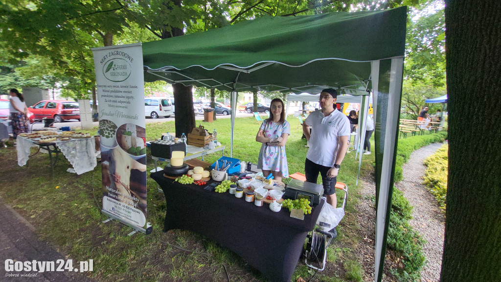 Kulturalny Piknik w gostyńskich plantach