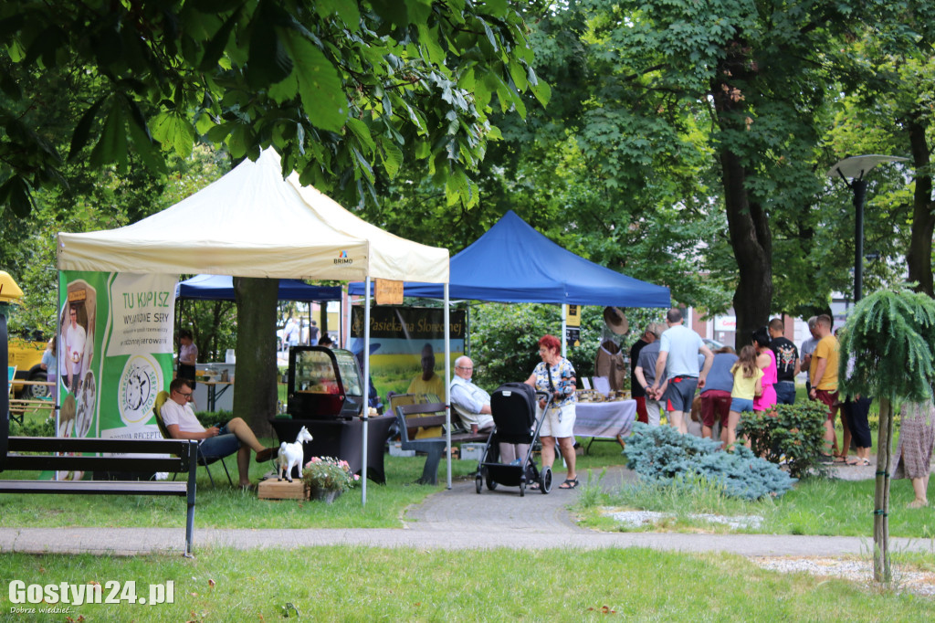 Kulturalny Piknik w gostyńskich plantach