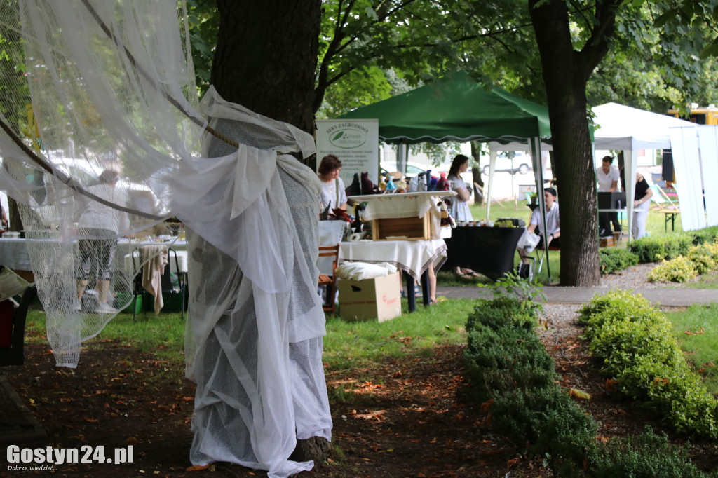 Kulturalny Piknik w gostyńskich plantach