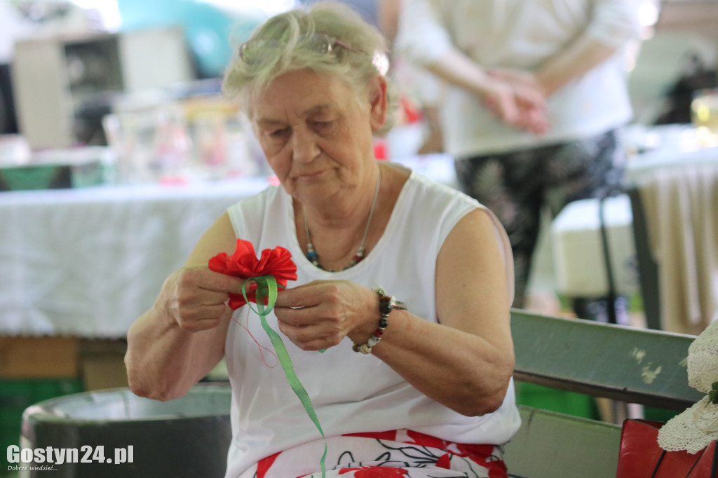 Kulturalny Piknik w gostyńskich plantach