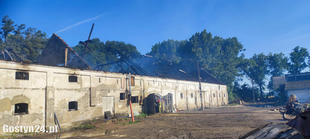 Ogromne straty po pożarze stajni w Podrzeczu