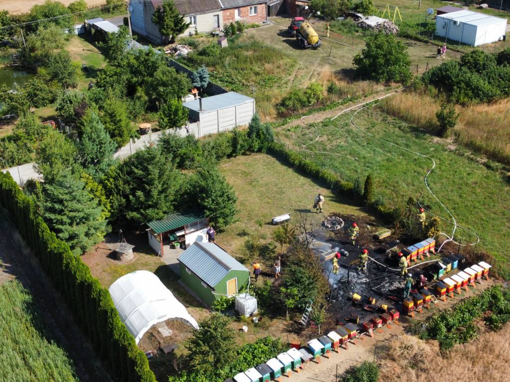 Pożar w Dalabuszkach 19.07.2023