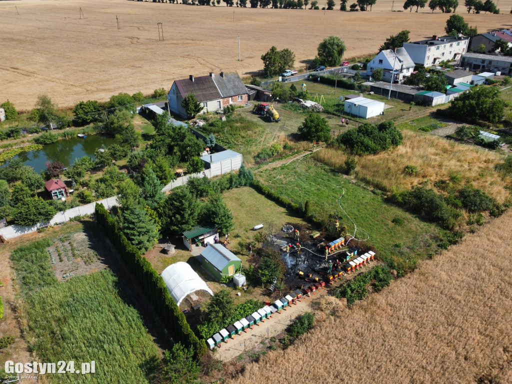 Pożar w Dalabuszkach 19.07.2023