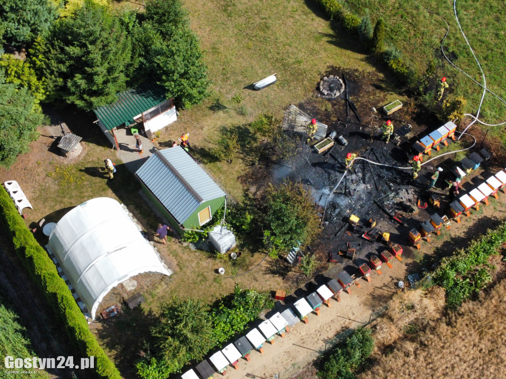 Pożar w Dalabuszkach 19.07.2023
