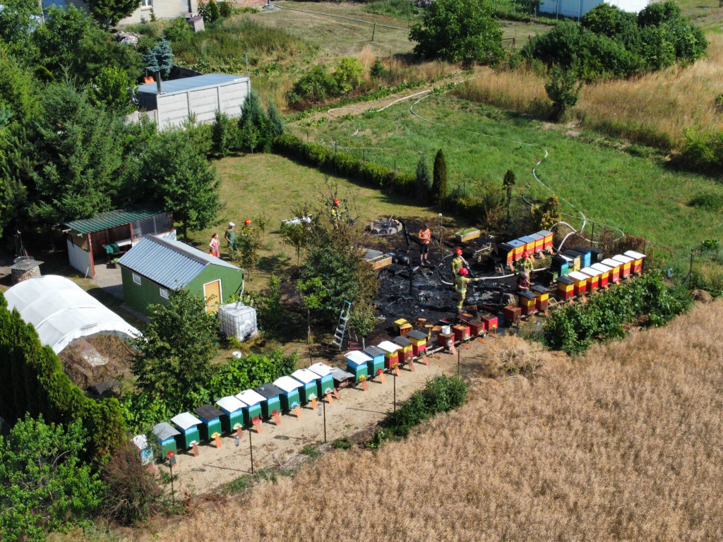Pożar w Dalabuszkach 19.07.2023