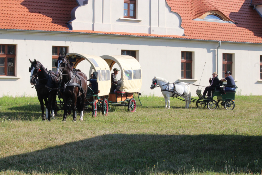 Pielgrzymka konna ze Św. Góry do Błażejewa