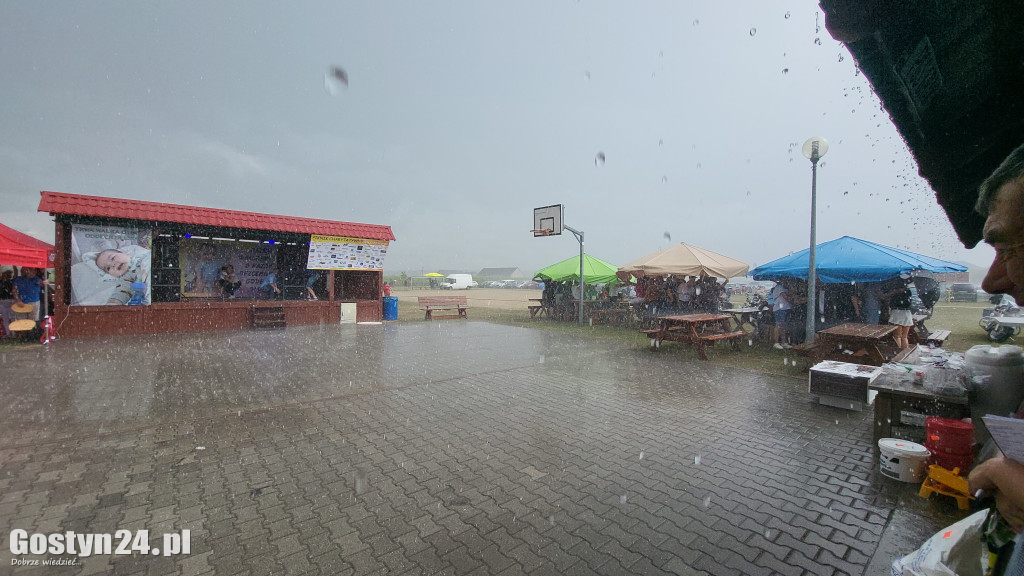 Piknik charytatywny w Dzięczynie