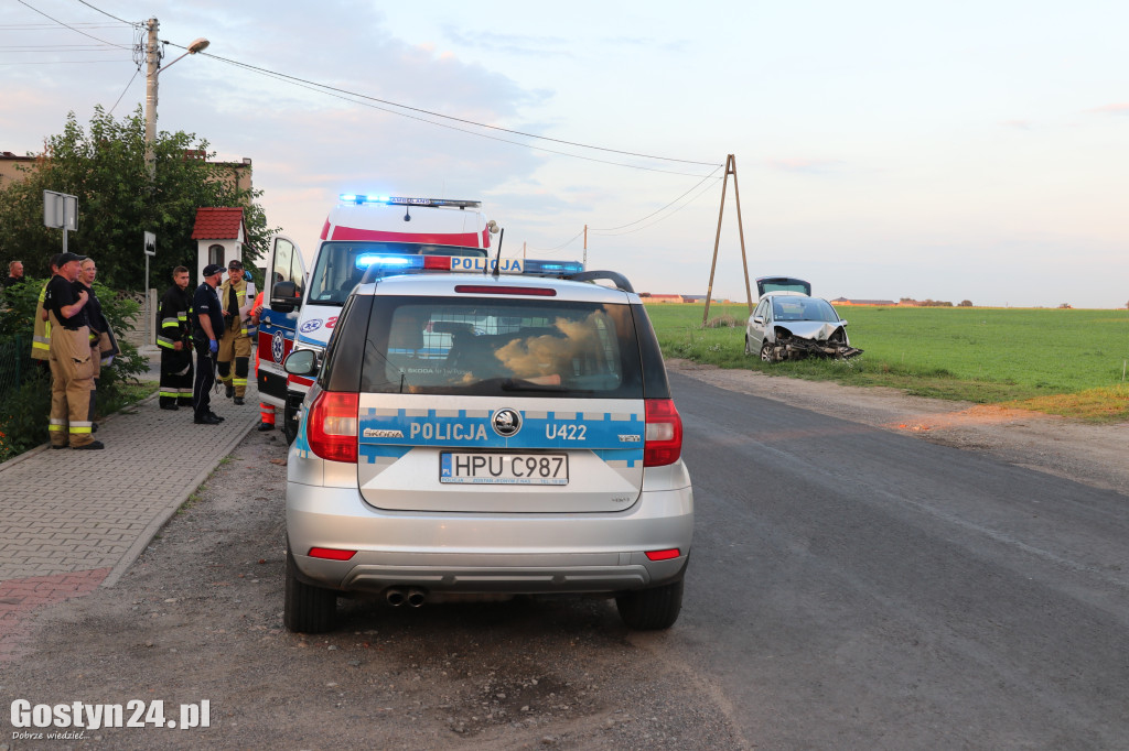 Kompletnie pijany kierowca uderzył w figurę