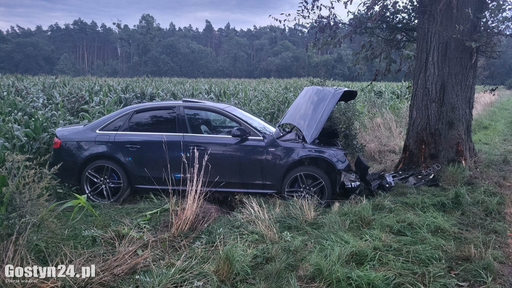 Wypadek na trasie Wilkonice-Skoraszewice