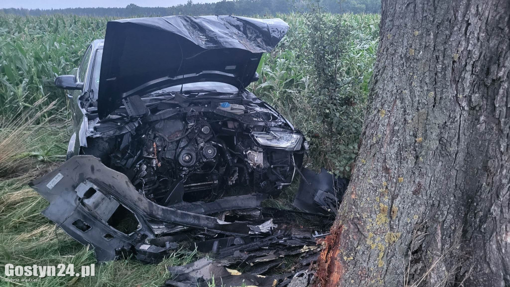 Wypadek na trasie Wilkonice-Skoraszewice