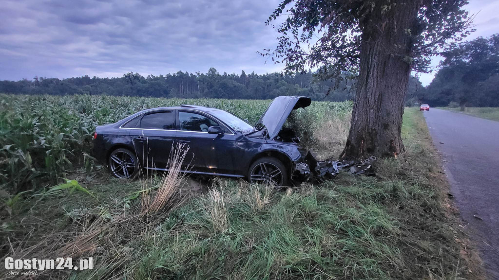 Wypadek na trasie Wilkonice-Skoraszewice