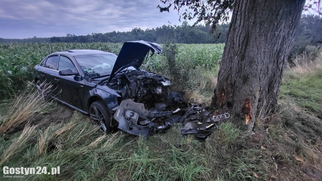 Wypadek na trasie Wilkonice-Skoraszewice