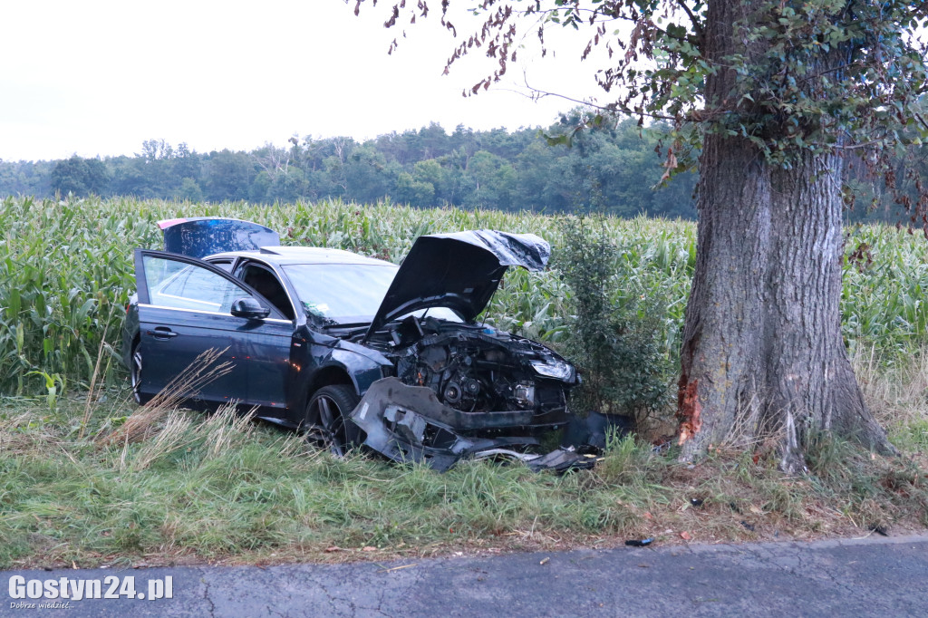 Wypadek na trasie Wilkonice-Skoraszewice