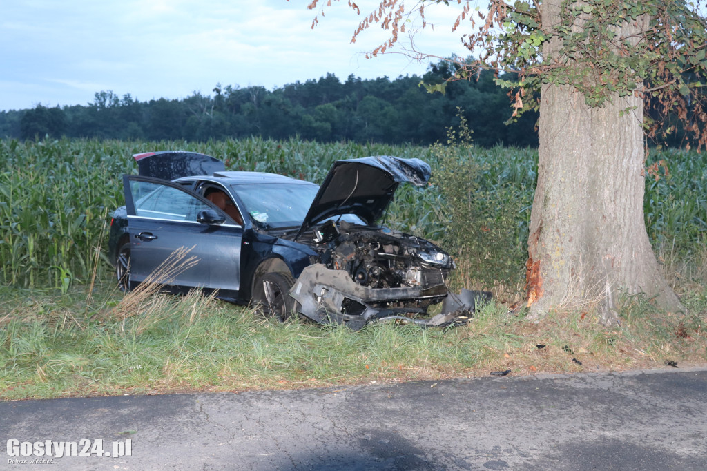Wypadek na trasie Wilkonice-Skoraszewice
