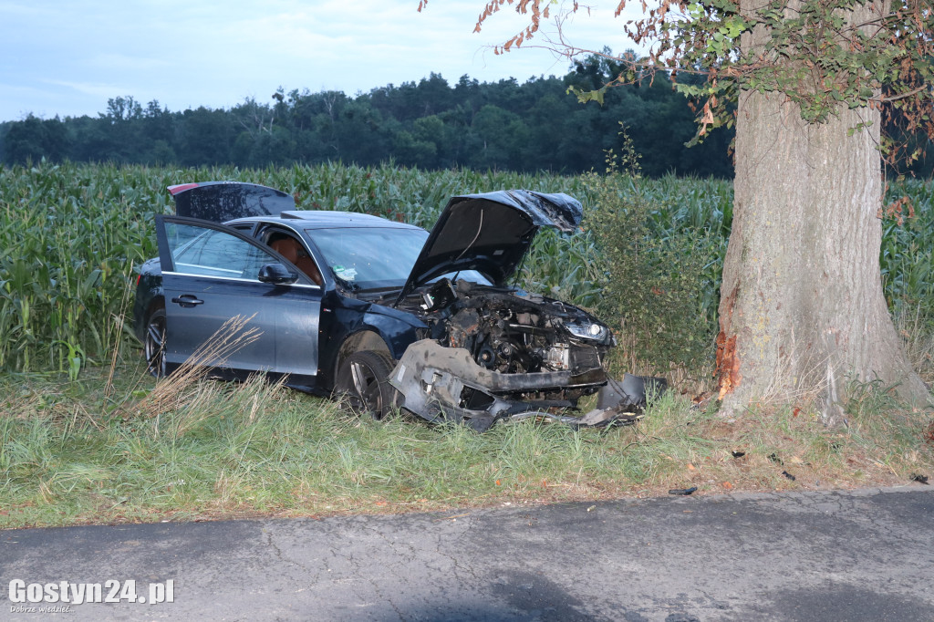 Wypadek na trasie Wilkonice-Skoraszewice