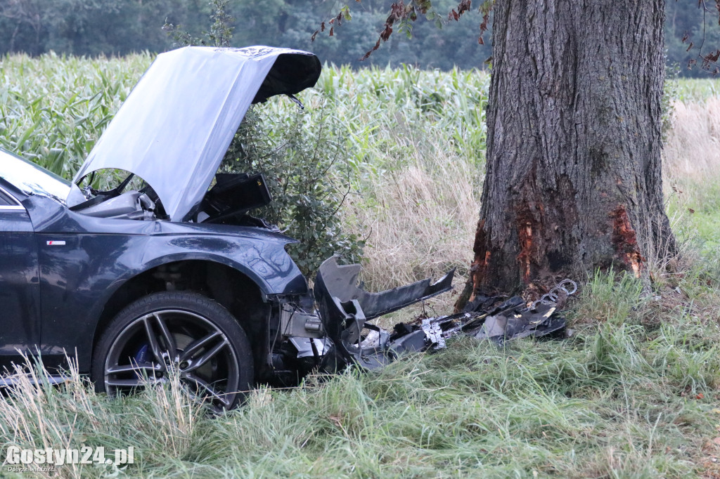 Wypadek na trasie Wilkonice-Skoraszewice