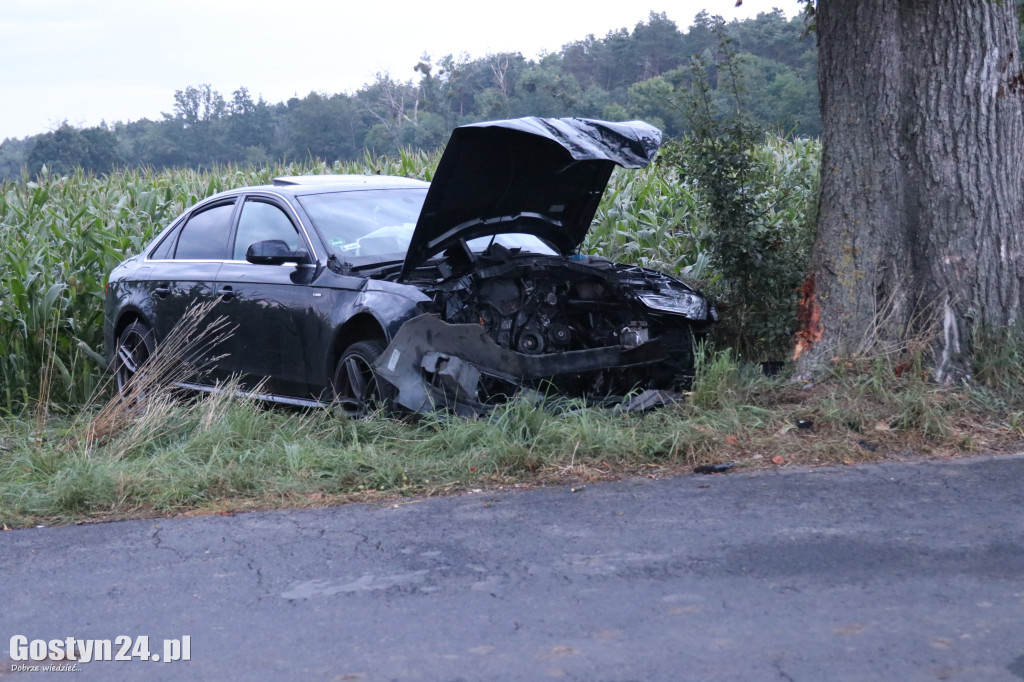 Wypadek na trasie Wilkonice-Skoraszewice