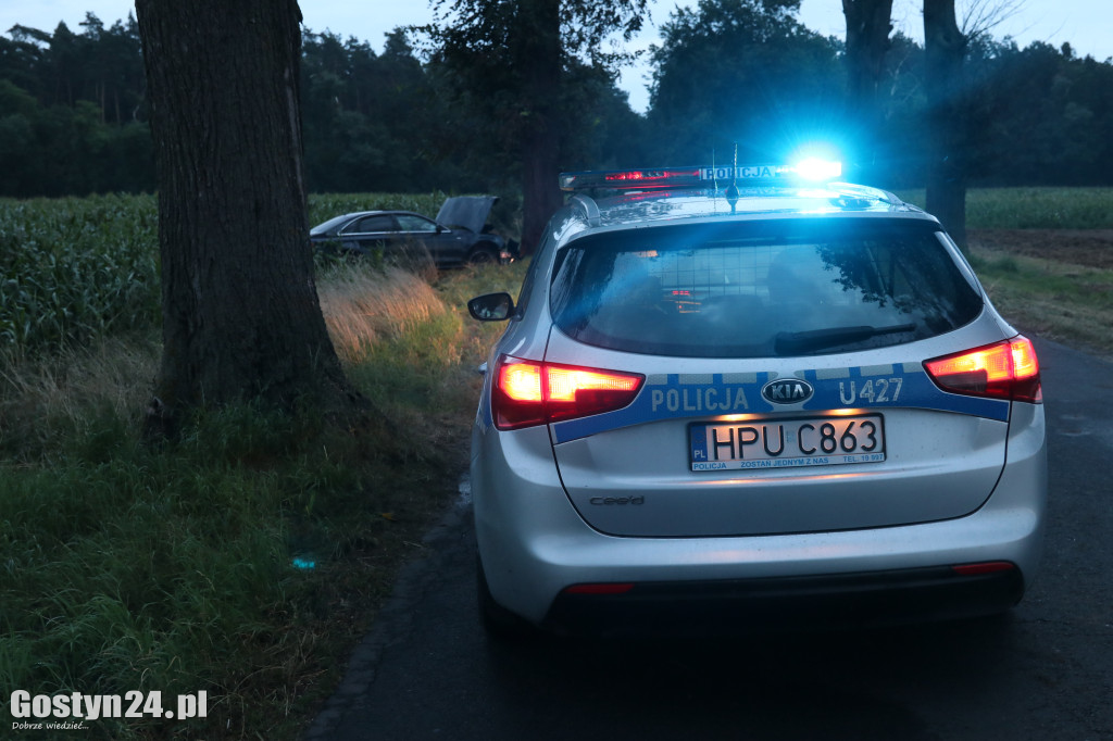 Wypadek na trasie Wilkonice-Skoraszewice