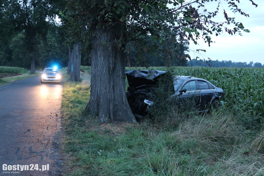 Wypadek na trasie Wilkonice-Skoraszewice