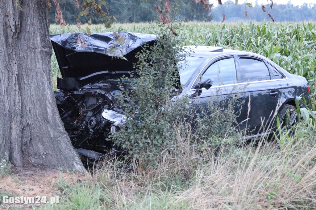 Wypadek na trasie Wilkonice-Skoraszewice