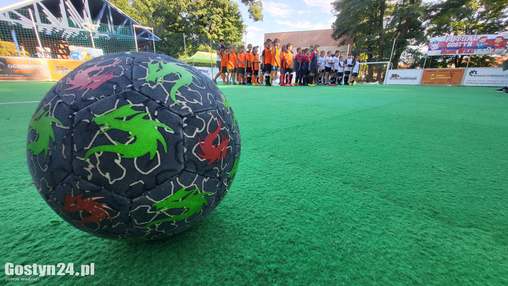 Miasteczko sportowe w gostyńskim pedeku