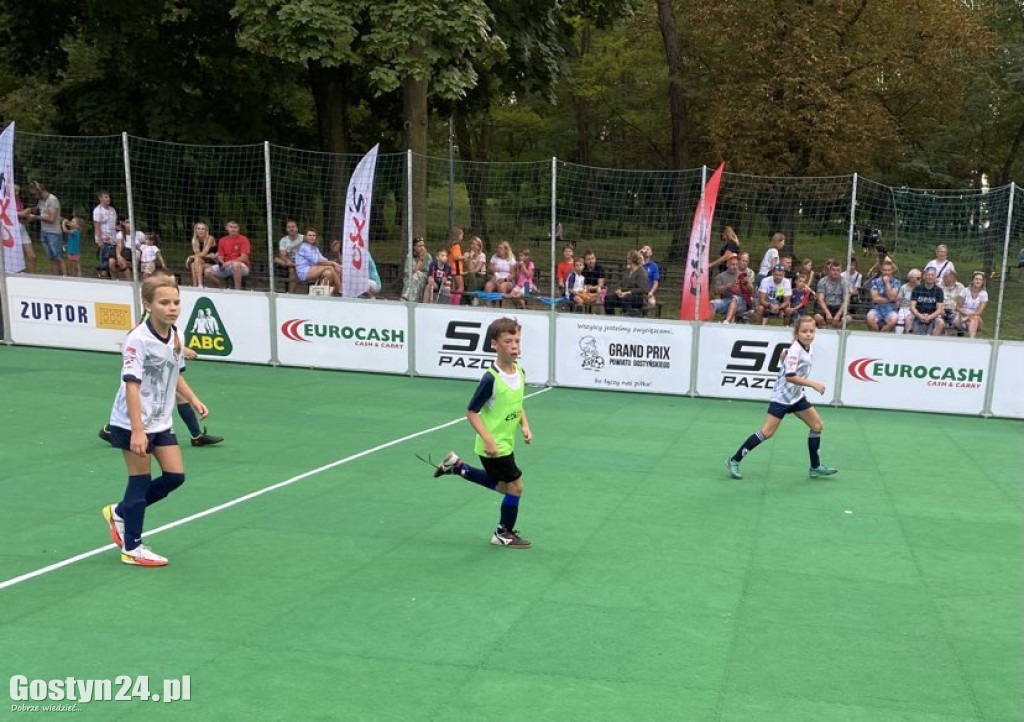 Miasteczko sportowe w gostyńskim pedeku