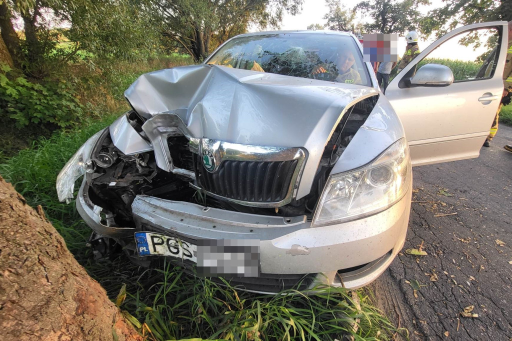 Samochód uderzył w drzewo. Kierowca w szpitalu