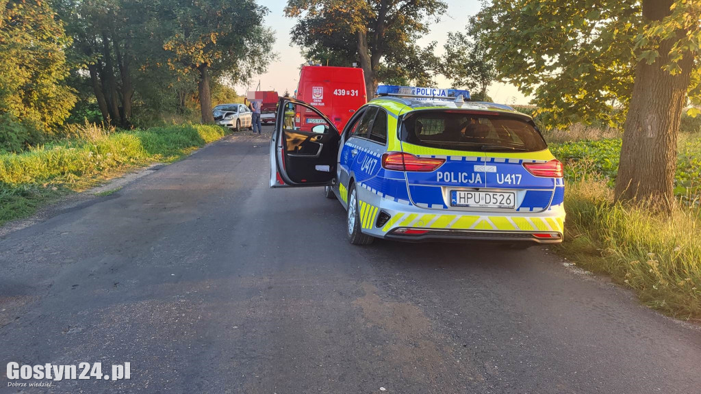 Samochód uderzył w drzewo. Kierowca w szpitalu