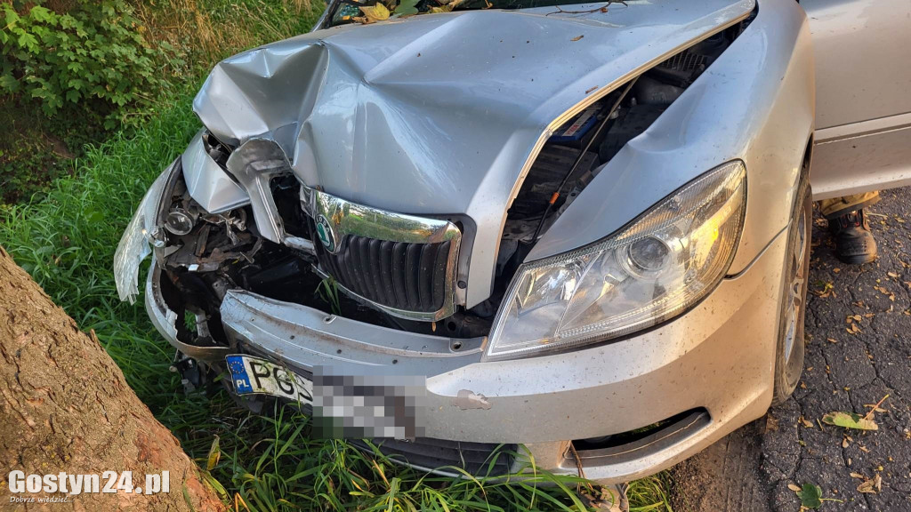 Samochód uderzył w drzewo. Kierowca w szpitalu