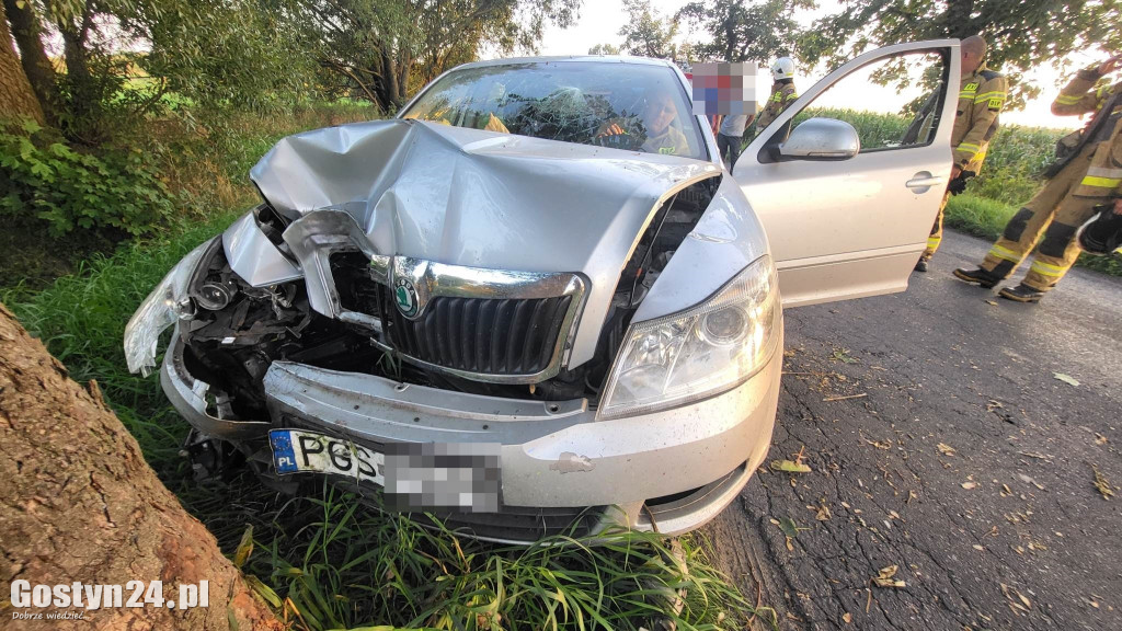 Samochód uderzył w drzewo. Kierowca w szpitalu
