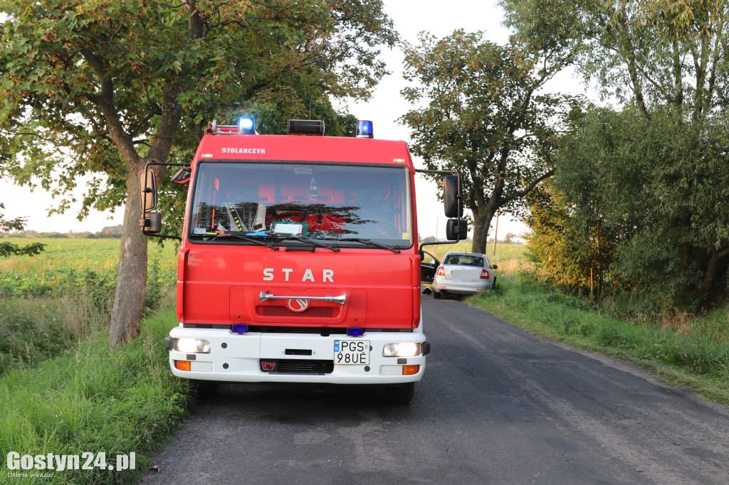 Samochód uderzył w drzewo. Kierowca w szpitalu