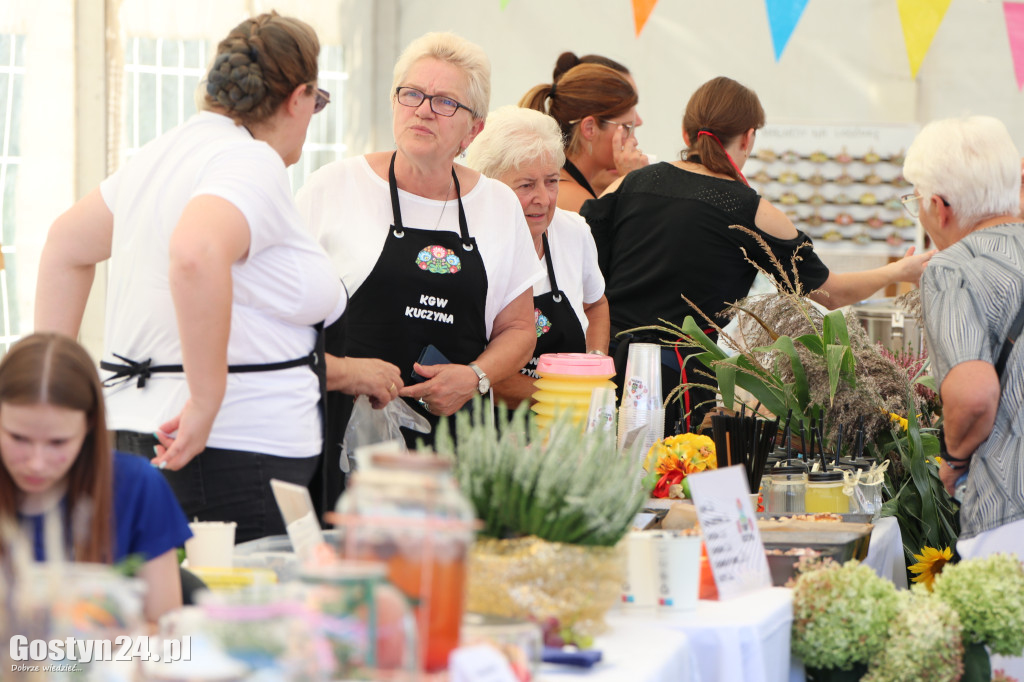 11. Festiwal Tradycji i Folkloru w Domachowie