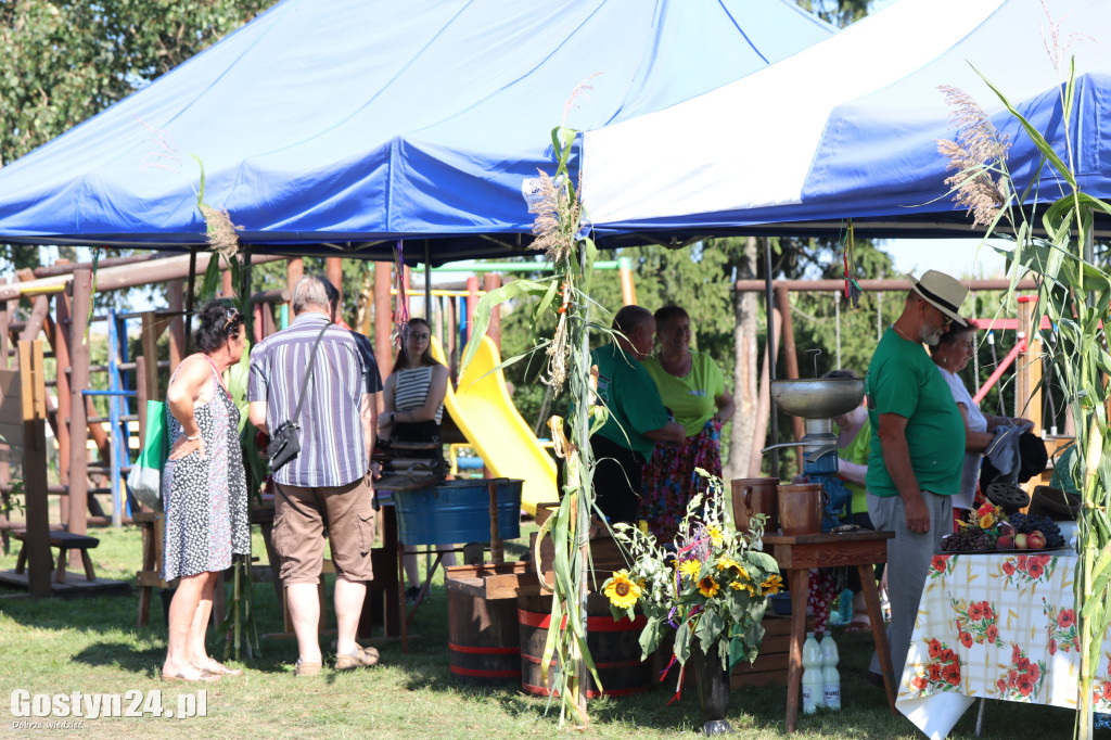 11. Festiwal Tradycji i Folkloru w Domachowie