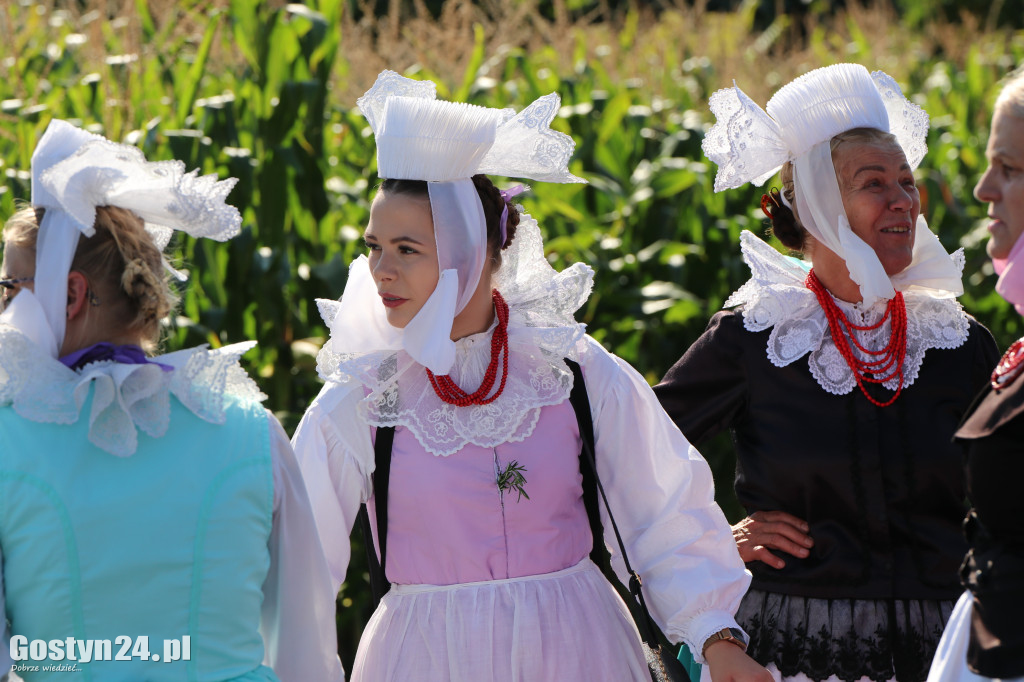 11. Festiwal Tradycji i Folkloru w Domachowie