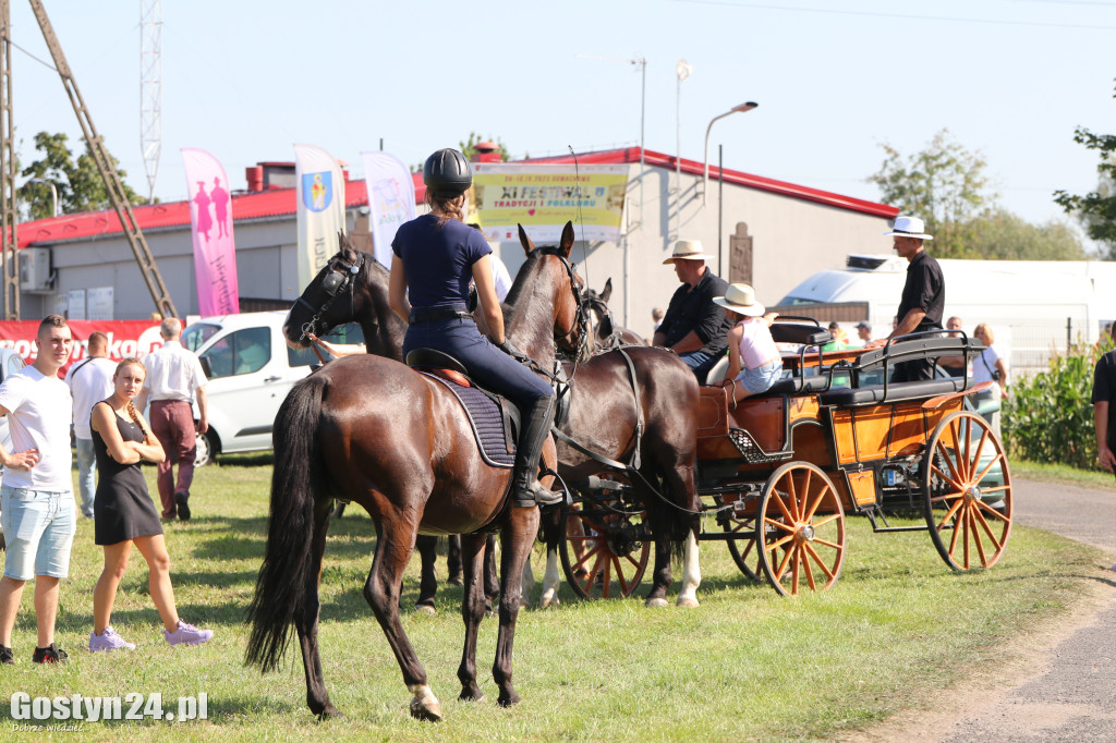 11. Festiwal Tradycji i Folkloru w Domachowie