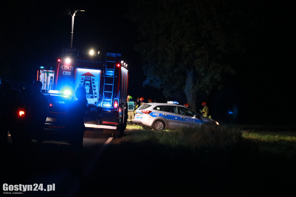 Samochód uderzył w drzewo na trasie Krobia-Rawicz