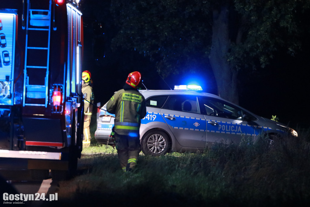 Samochód uderzył w drzewo na trasie Krobia-Rawicz