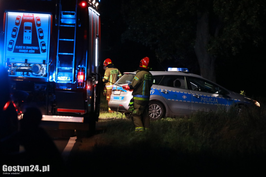 Samochód uderzył w drzewo na trasie Krobia-Rawicz