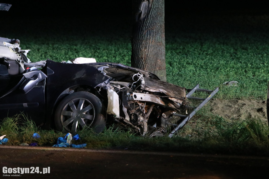 Samochód uderzył w drzewo na trasie Krobia-Rawicz