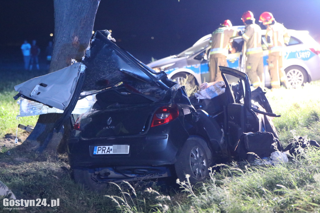 Samochód uderzył w drzewo na trasie Krobia-Rawicz