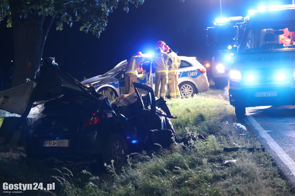 Samochód uderzył w drzewo na trasie Krobia-Rawicz