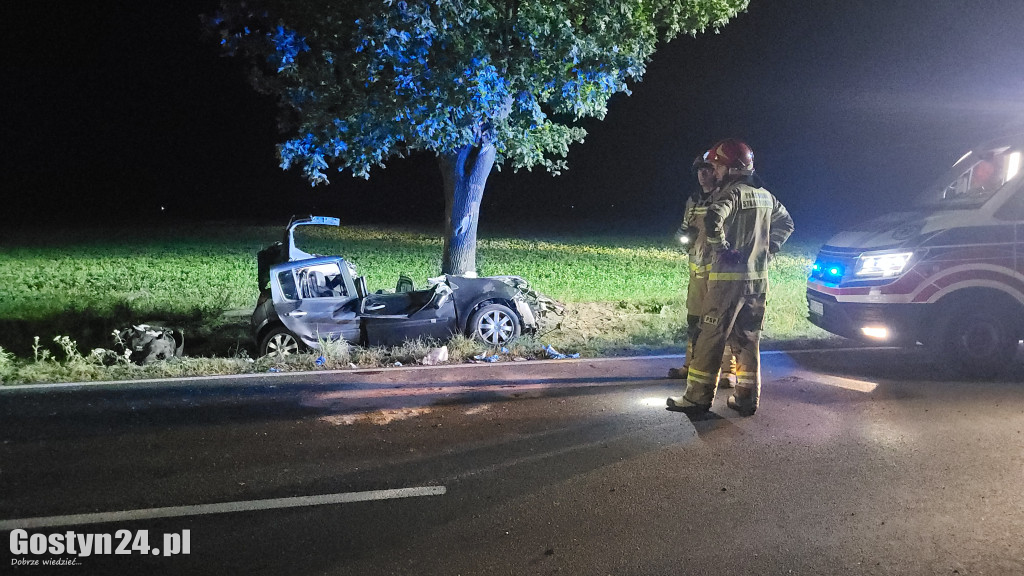 Samochód uderzył w drzewo na trasie Krobia-Rawicz
