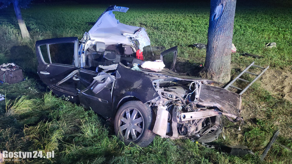 Samochód uderzył w drzewo na trasie Krobia-Rawicz