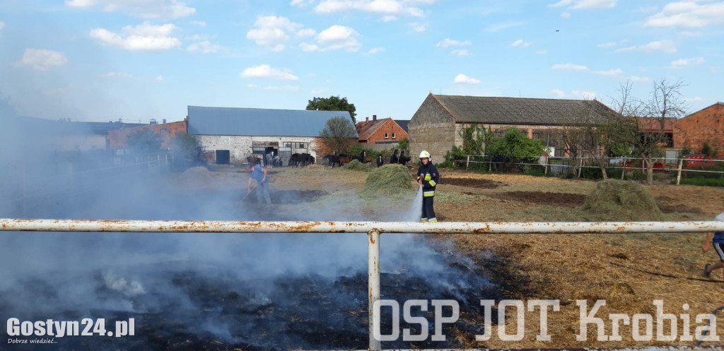 Pożar na wybiegu dla koni w Potarzycy