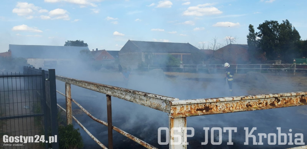 Pożar na wybiegu dla koni w Potarzycy